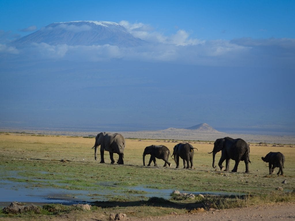 Kenya-Travel-Tribe-Africa-17 Family Travel Blog - Travel Tribe Africa