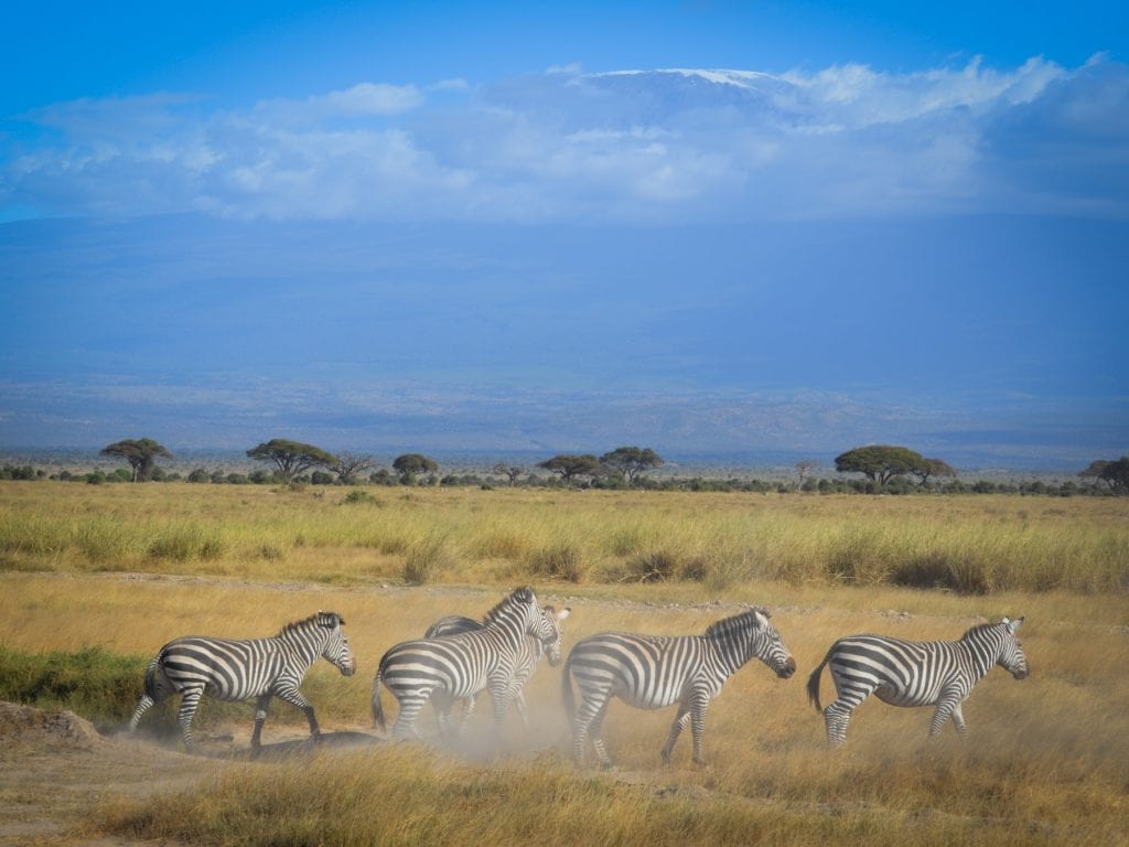 Kenya-Travel-Tribe-Africa-18 Family Travel Blog - Travel Tribe Africa