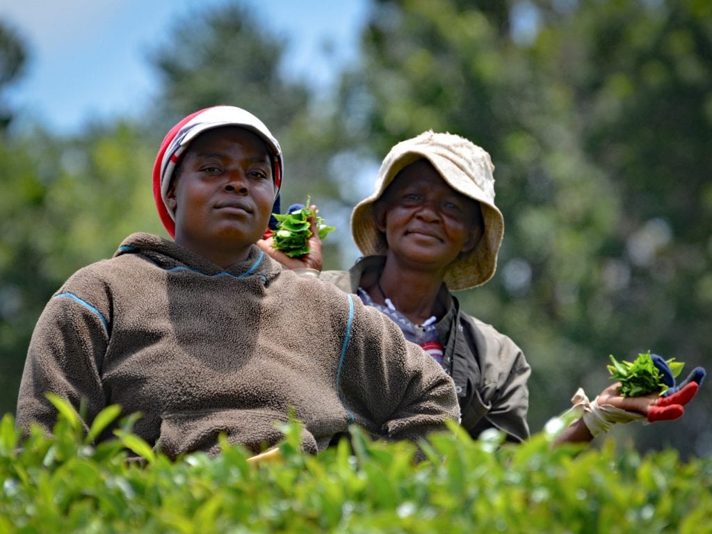 Kenya-Travel-Tribe-Africa-7 Family Travel Blog - Travel Tribe Africa