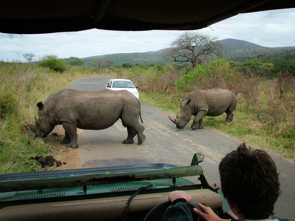 South-Africa-Travel-Tribe-Africa-2 Family Travel Blog - Travel Tribe Africa