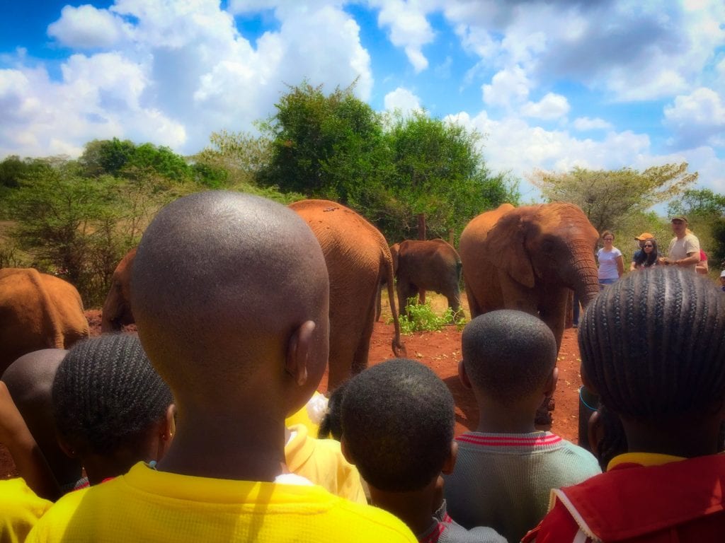 Travel-Tribe-Africa-Nairobi-5 Family Travel Blog - Travel Tribe Africa