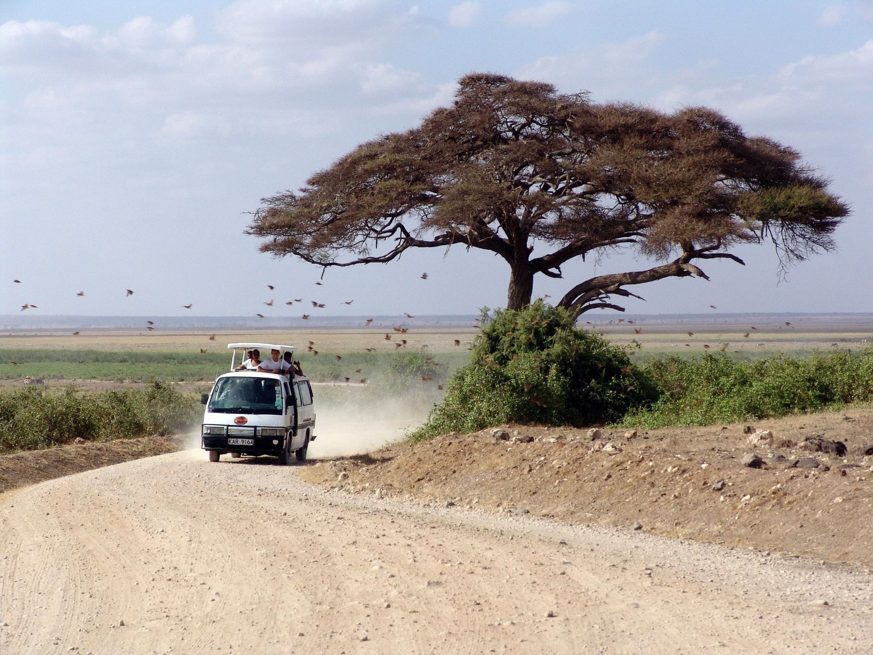 Kenya is proud to be the home of safari and has been recognised as the leading safari destination since 2015. Image by Peggy und Marco Lachmann-Anke, Pixabay.com.
