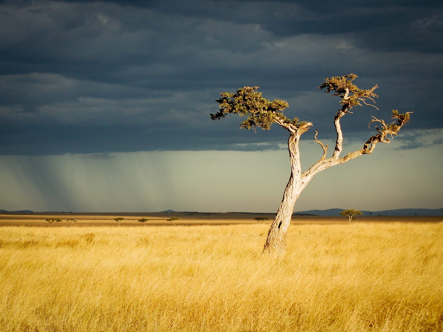 Kenya has a seasonal climate, influenced by such factors as geographical position, pressure systems from the Indian Ocean, high and low environments and surrounding land masses. Image by Robin Hartwell, Pixabay.com