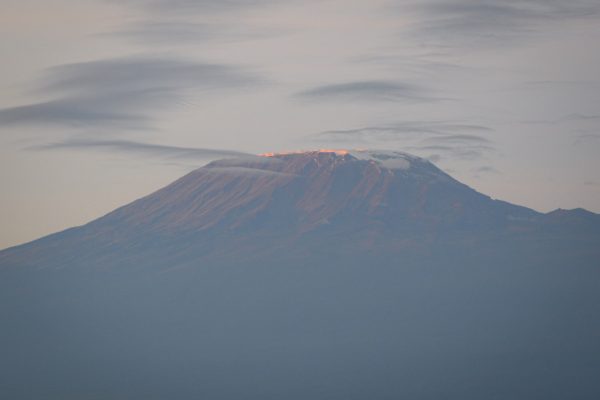 Kilimanjaro Views from Amboseli National Park