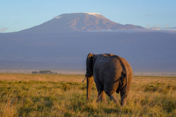 Safari Holidays in Kenya - Mount Kilimanjaro Views from Amboseli National Park