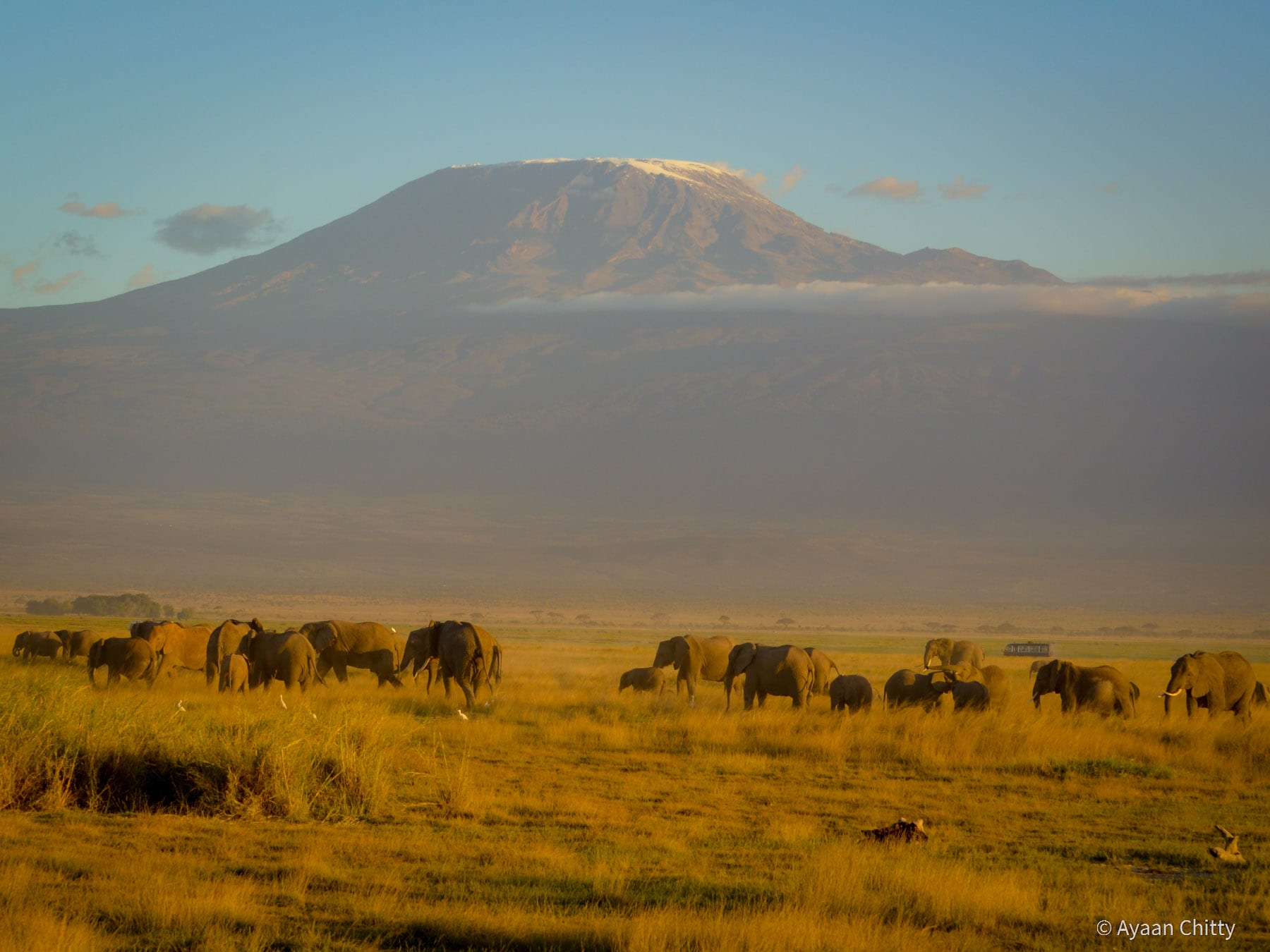 Luxury Safari Destinations - Kilimanjaro and Amboseli National Park, Kenya