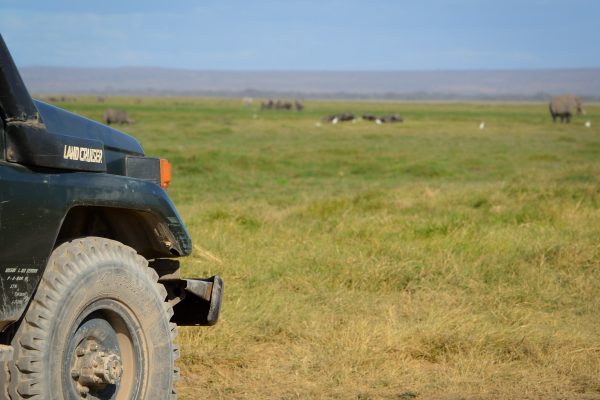 Kenya Safari Tours - Amboseli National Park