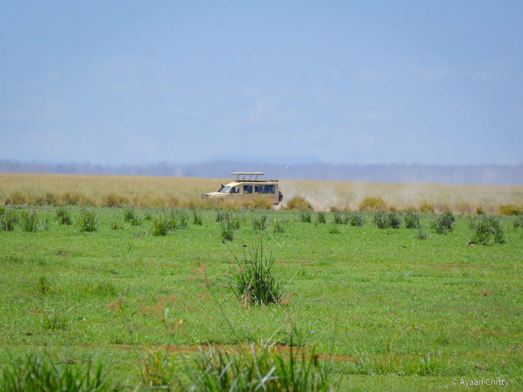 Kenya Safari Park - Game Drive in Amboseli National Park
