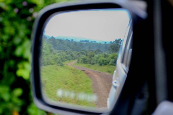 Travel-Tribe-Africa-Treetops-Aberdares-Diary-045