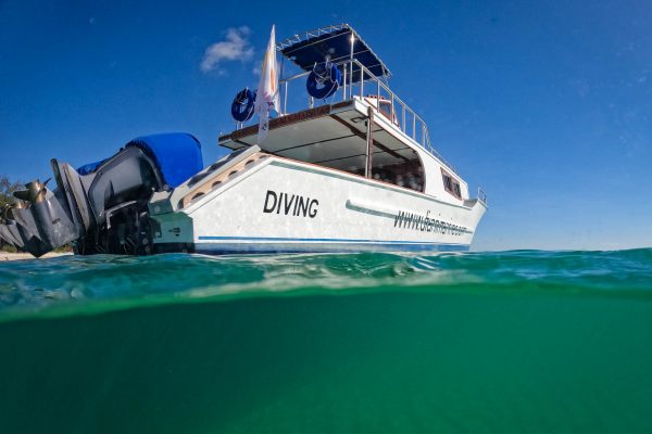 Scuba Diving Diani - Diani Marine Dive Centre