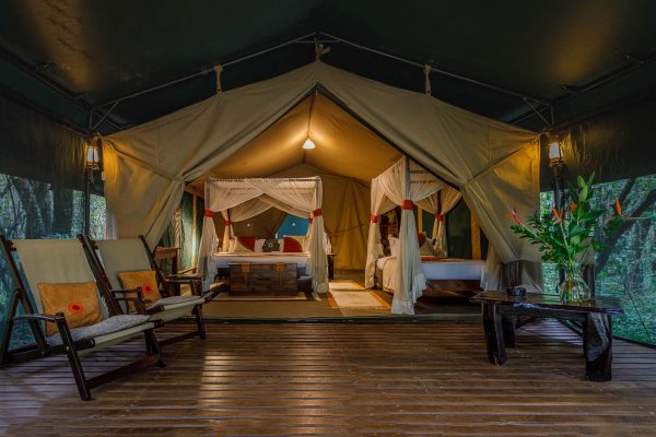 Best Luxury Couples Safari Packages - Kenya - Stay at Mara Bush Camp and Private Wing, Maasai Mara