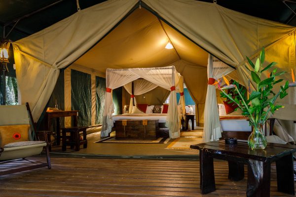 Best Luxury Honeymoon Packages - Kenya - Stay at Mara Bush Camp and Private Wing, Maasai Mara