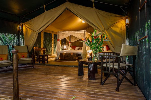 Best Luxury Honeymoon Packages in Africa - Stay in the Beautiful Maasai Mara