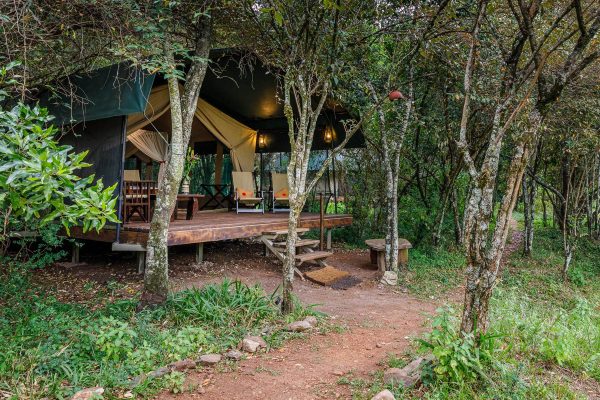 Luxury Safari Camps - Maasai Mara, Kenya