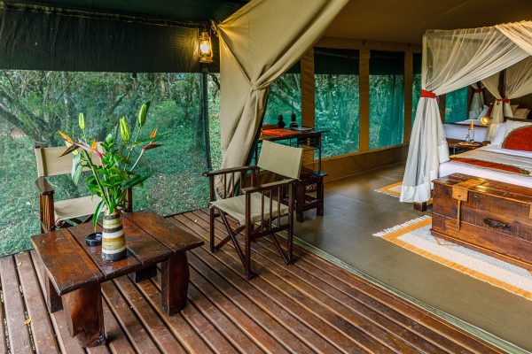 Luxury Safari Vacations - Maasai Mara, Kenya