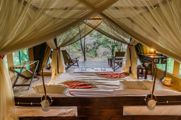 Luxury Honeymoon Packages in Kenya - Stay at Mara Bush Camp and Private Wing, Maasai Mara, Kenya