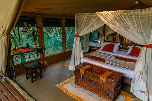 Honeymoon Packages in Kenya - Stay at Mara Bush Camp and Private Wing, Masai Mara, Kenya