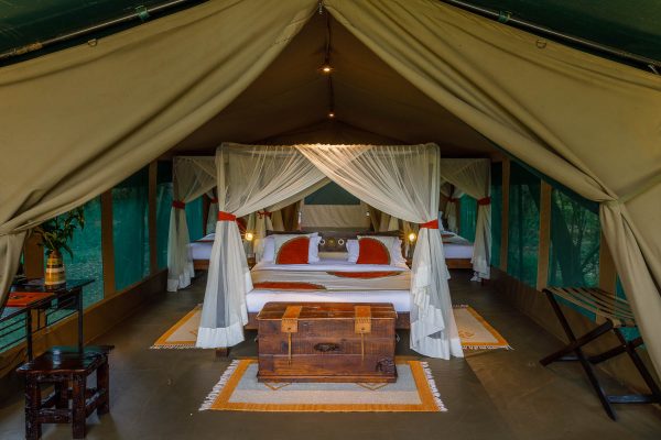 Honeymoon in Kenya - Stay at Mara Bush Camp and Private Wing, Maasai Mara, Kenya
