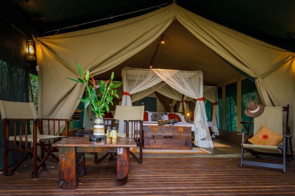 Honeymoon in Kenya - Stay at Mara Bush Camp and Private Wing, Masai Mara, Kenya