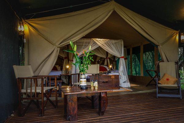 Luxury Honeymoon Vacation Packages in Kenya - Stay at Mara Bush Camp and Private Wing, Masai Mara, Kenya