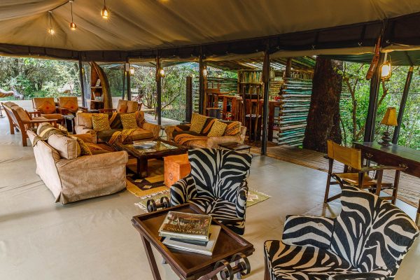 Kenya Safari - Stay at Mara Bush Camp and Private Wing, Maasai Mara