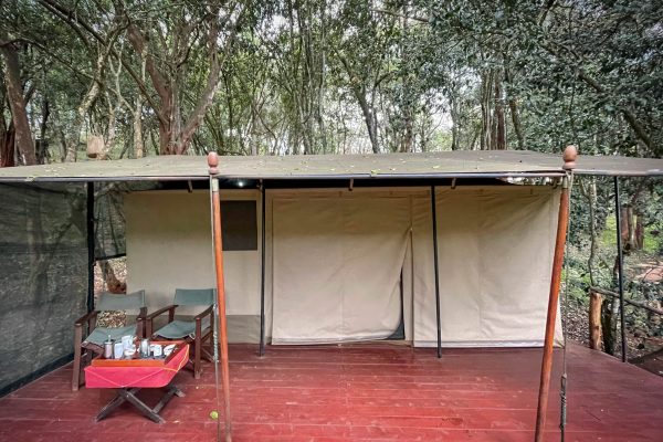 Nairobi-Tented-Camp-Travel-Tribe-Africa-20